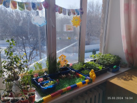 Огород на подоконнике Огород на подоконнике.