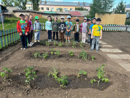 Огород – дело любимое и полезное Огород – дело любимое и полезное.