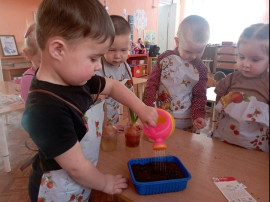 На окне в детском саду зазеленел огород На окне в детском саду зазеленел огород.